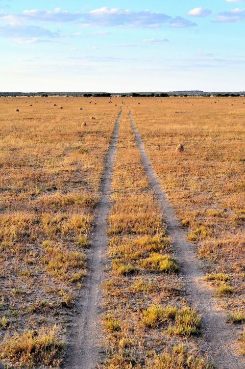 grass veld track
