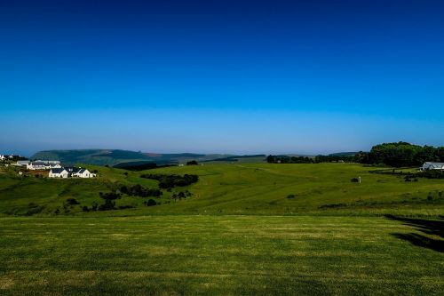 grass nature panoramic