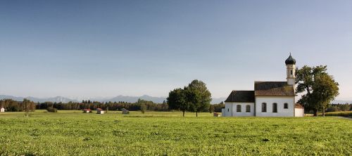 grass rural nature