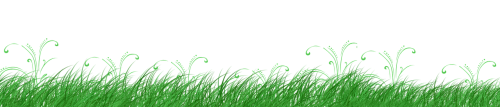 grass clipart