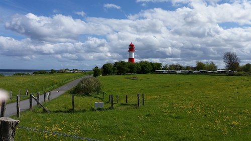 grass  nature  panorama