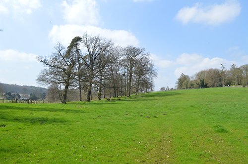 grass  nature  landscape