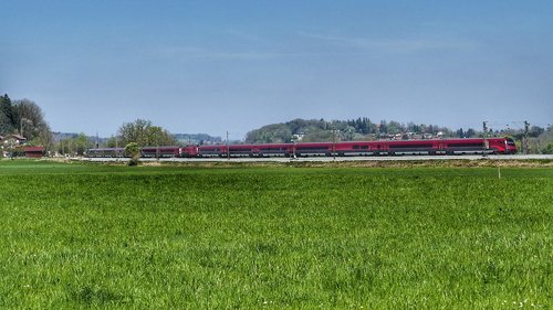 grass  panorama  field