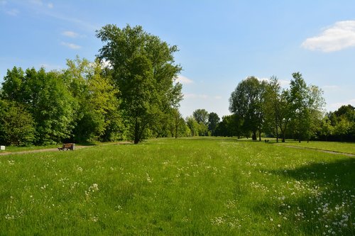 grass  nature  landscape