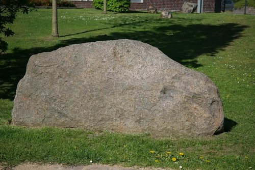 grass  nature  stone