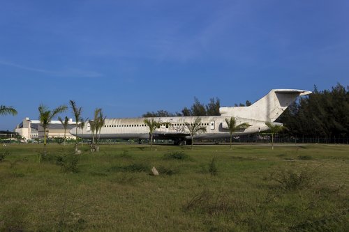 grass  plane  aircraft