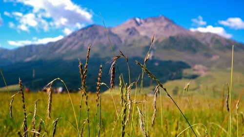 grass  distant hills  snow mountain