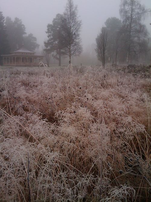 grass frost bureå