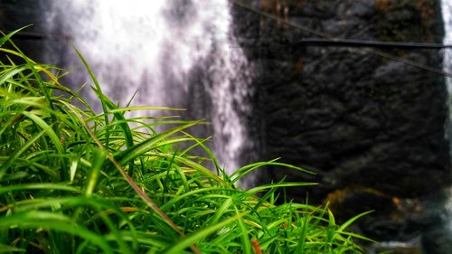 grass  waterfalls  nature