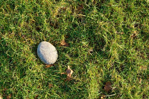grass  stone  kennedy