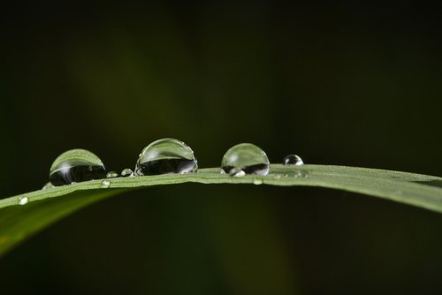 grass  raindrop  reflection