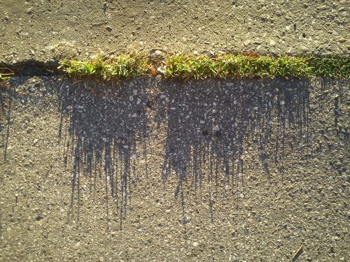 grass asphalt shadow