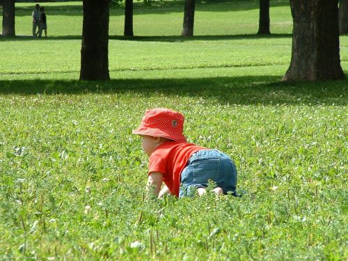 grass children park