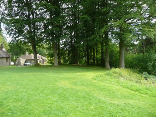 grass view landscape