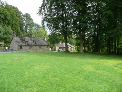 grass view landscape