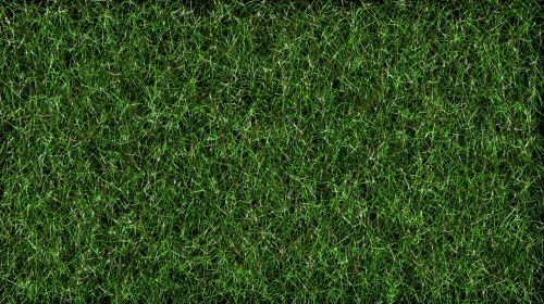 grass football lawn