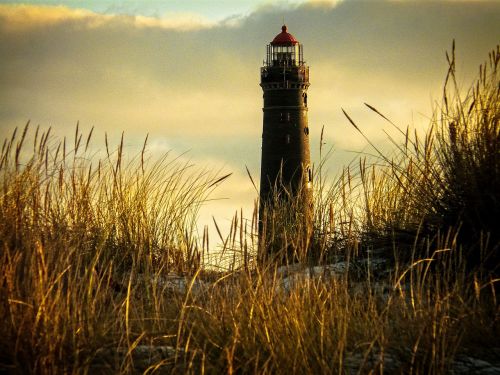 grass sea lighthouse