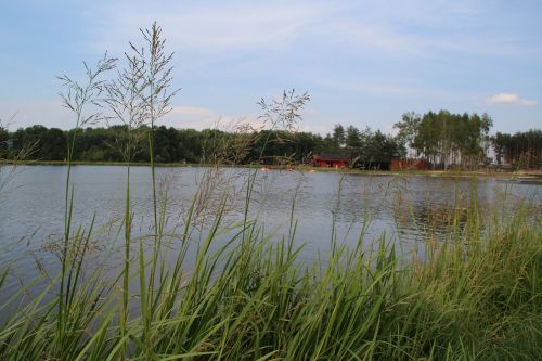 grass lagoon water reservoir