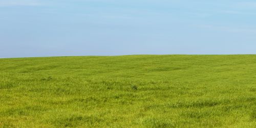 Grass And Sky Background