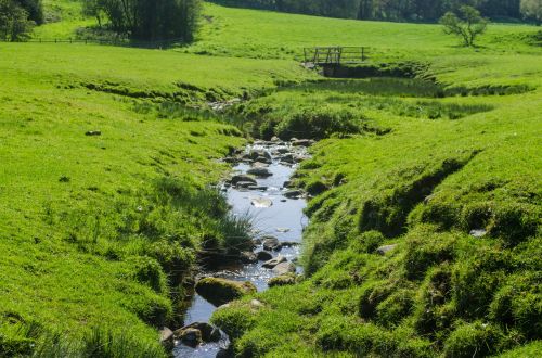 Grass And Water