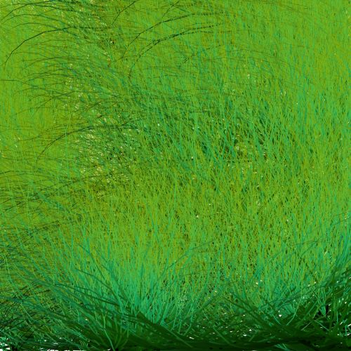 Grass Background Texture