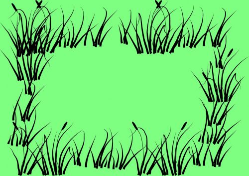 Grass Frame