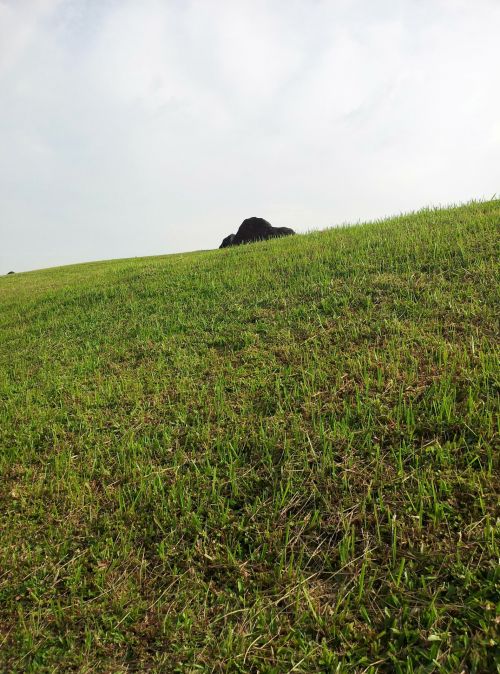 Grass Hill And A Rock