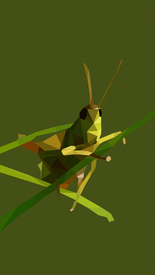 grasshopper low poly close