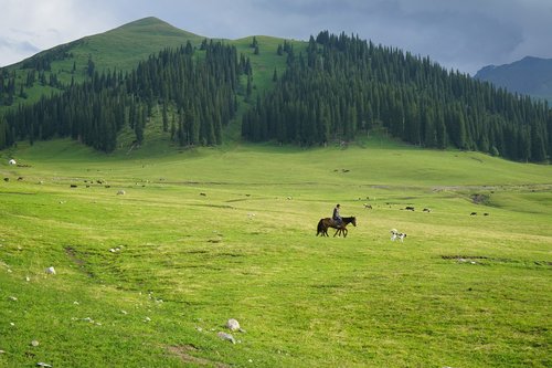 grassland  distant hills  horseback riding