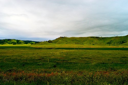 grassland  south dakota  horizon