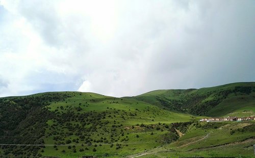 grassland  altitude height  alpine meadows