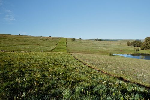 grassland countryside landscape