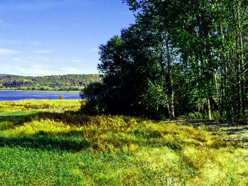 Grassy Lake View