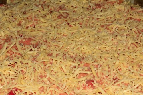 grated cheese pizza