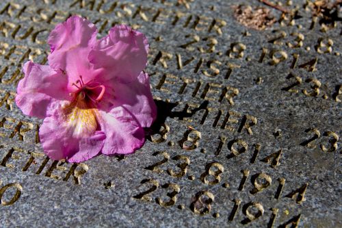 grave rose stone