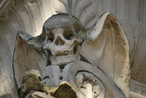 grave skull bone
