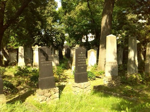 grave stones graves magdeburg