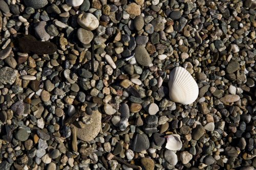 gravel beach stone