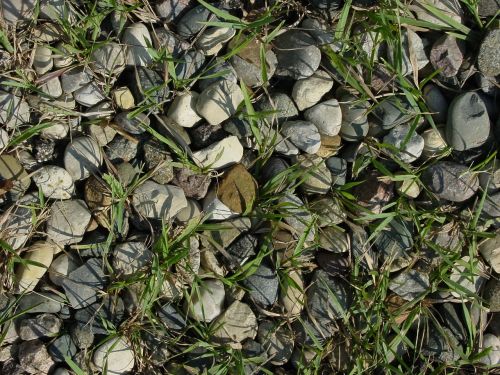 gravel texture grass