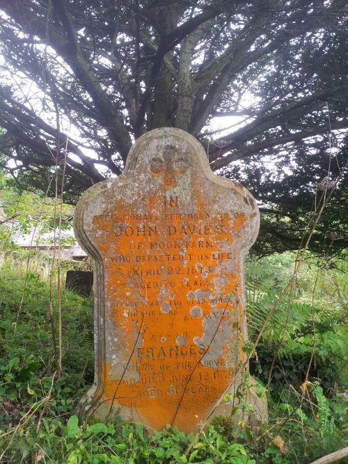 gravestone grave cemetery