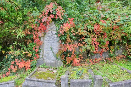 graveyard  fall  autumn