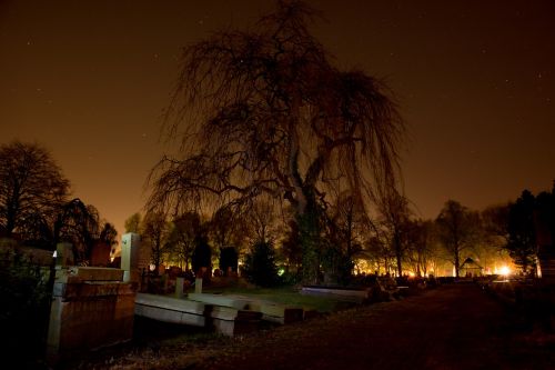 graveyard graves tree