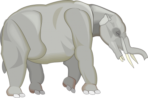 gray elephant animal