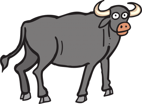 gray bull horns