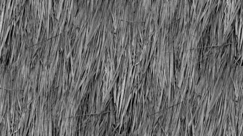 Gray Seamless Straw Background