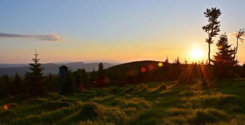 great owl view trail