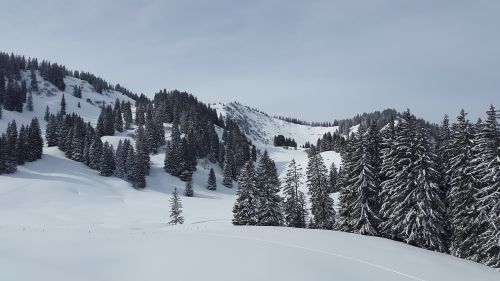 great ox-head allgäu gunzesrieder valley
