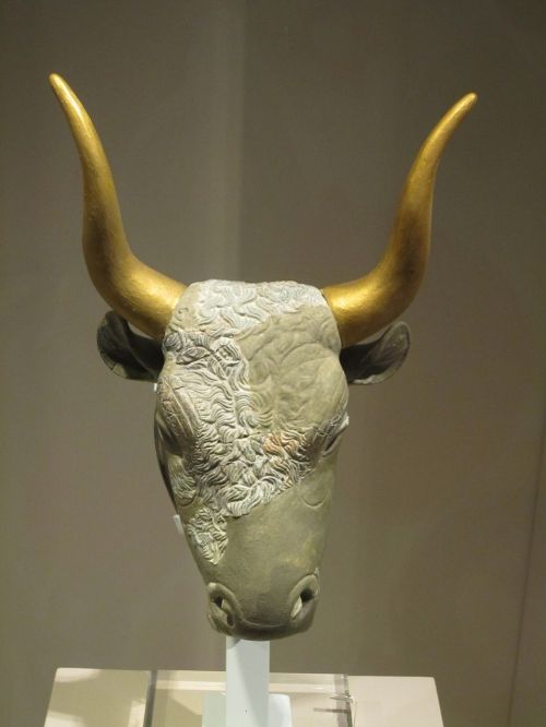 greece bull animal