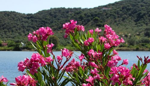 greece xanemos lagoon