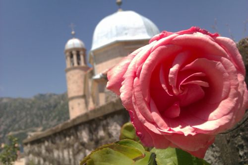 greece church rose
